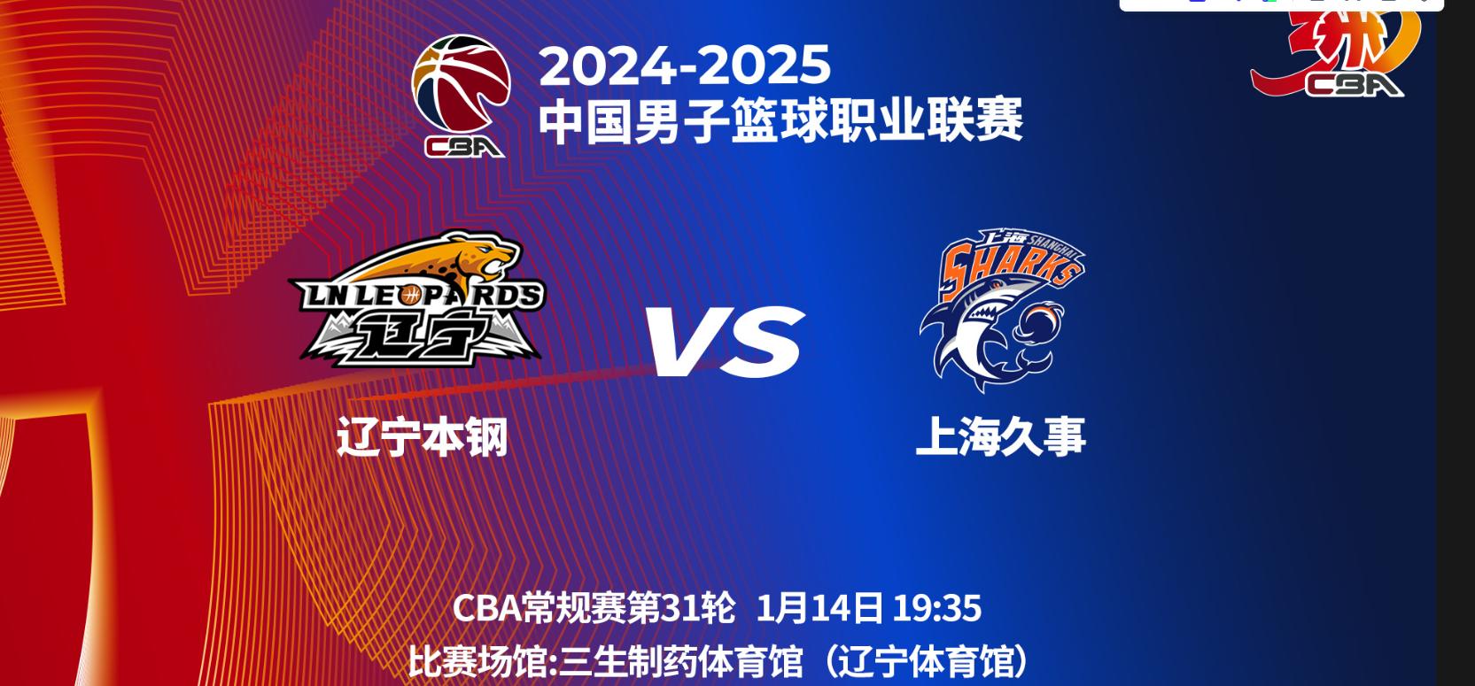 大洋洲女足巅峰对决即将上演，球迷期待